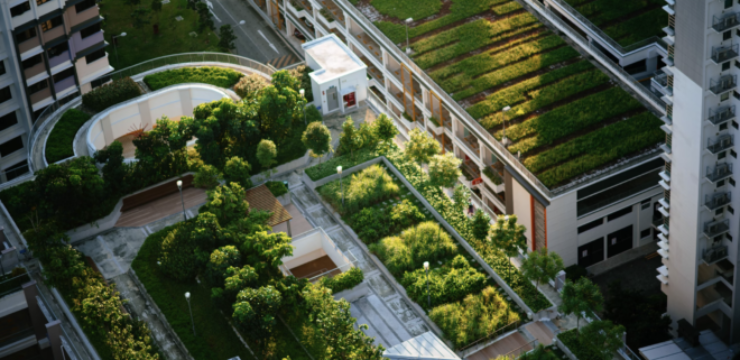 green-roof-toronto.png